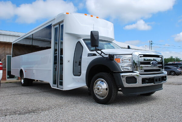 20 passenger party bus rentals